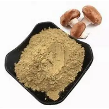 Mushroom Powder