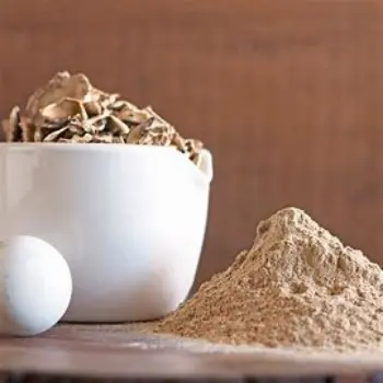Mushroom Powder