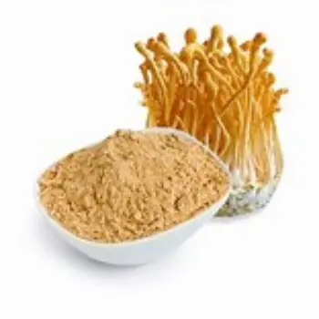 Fresh Mushroom Powder