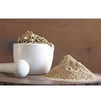 Fresh Mushroom Powder