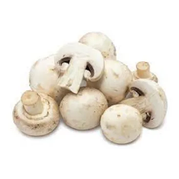 Natural Fresh Mushroom
