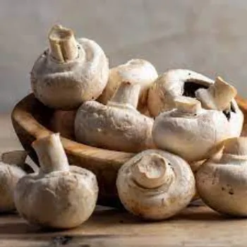 Common  Fresh Mushroom