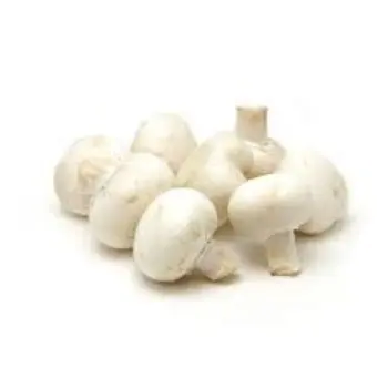 Natural Mushroom