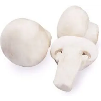 Natural Frozen Mushroom