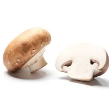 Natural Fresh Mushroom