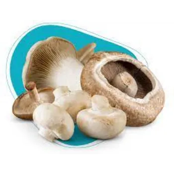 Common Fresh Mushroom