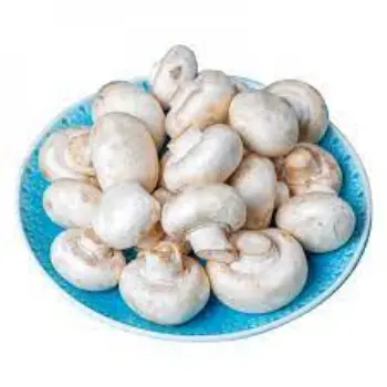 Natural Fresh Mushroom