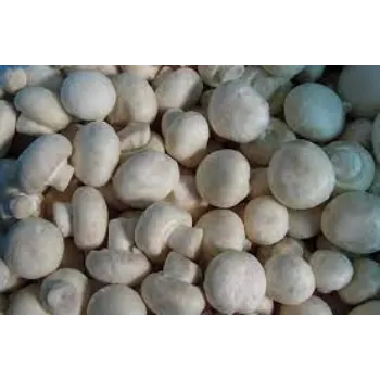 Organic Frozen Mushroom