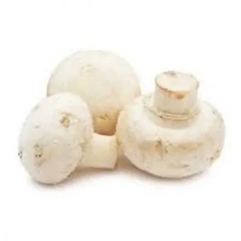 Organic Frozen Mushrooms