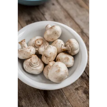 Organic Mushroom