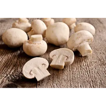 Common Frozen Mushroom