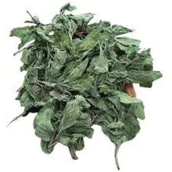 Dried Mint Leaves
