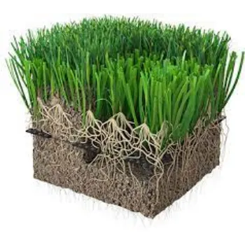  Natural Grass