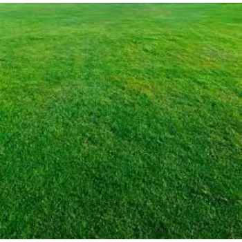 Natural Natural Grass