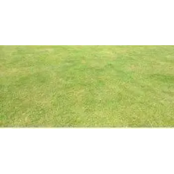 A.p. Flower Mart Natural Grass