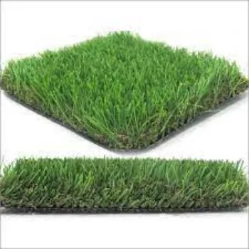 Natural Grass