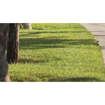 Natural Grass