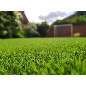 Organic Natural Grass
