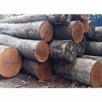 Mahavir Neem Wood