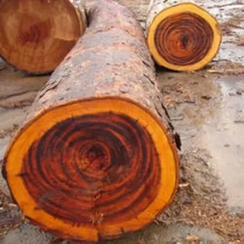 Solid Neem Wood