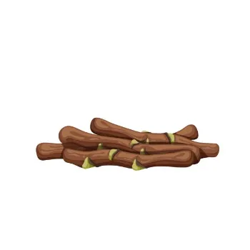 Latest Neem Wood