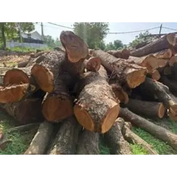 Solid Neem Wood