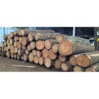 Neem Wood