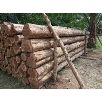 Gulshan Neem Wood