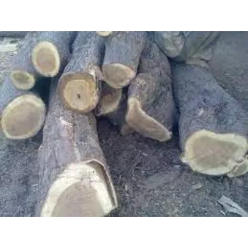 Neem Wood
