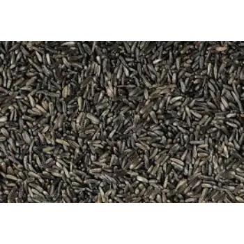 Natural Niger Seed