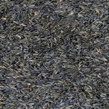 Natural Niger Seed
