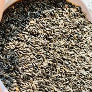 Natural Niger Seeds