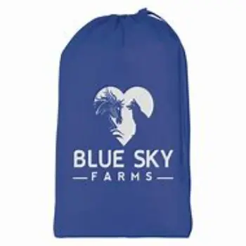Non Woven Laundry Bag