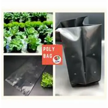Nursery Bags