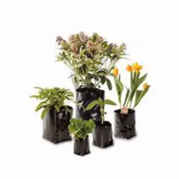 Nursery Bags