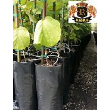 Nursery Bags