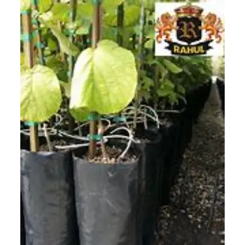 Nursery Bags