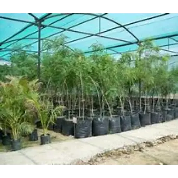 Nursery Bags