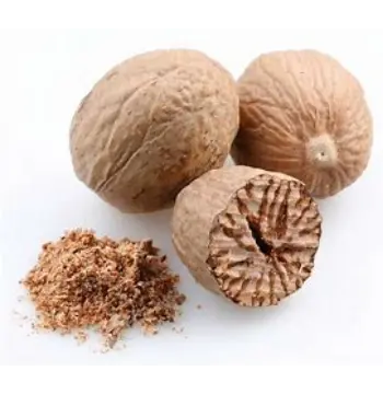 Fresh Nutmeg Manufacturer, Exporter, Wholesaler, and Trader