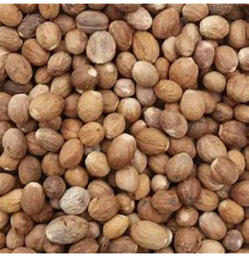 Natural Nutmeg Manufacturer, Exporter, Wholesaler, and Trader