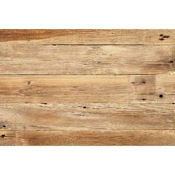 Plain Oak Wood