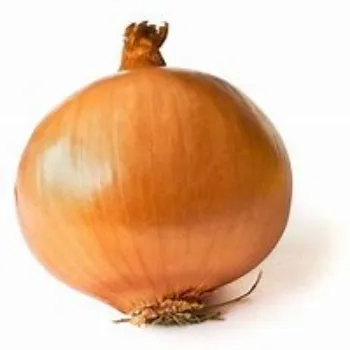 Natural Onion