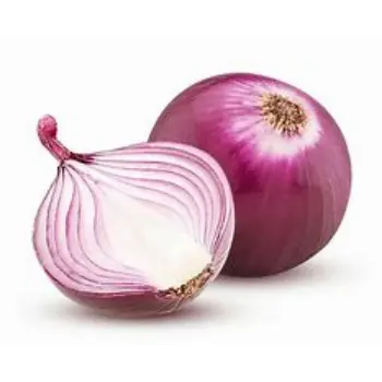 Onion