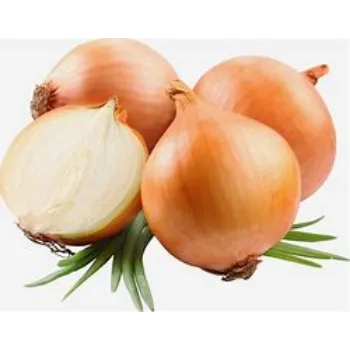 Onion
