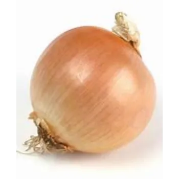 Onion