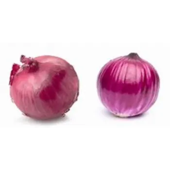  Onion