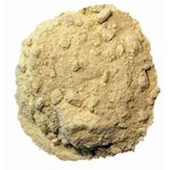 Onion Powder
