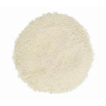 Fresh Onion Powder