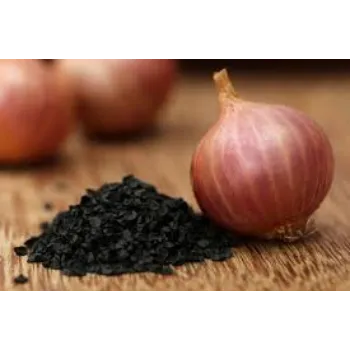 Organic Onion Seed