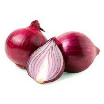 Natural Fresh Onion